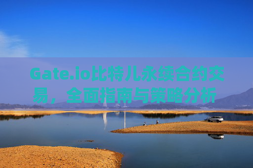 Gate.io比特儿永续合约交易，全面指南与策略分析 gateio比特儿永续合约交易