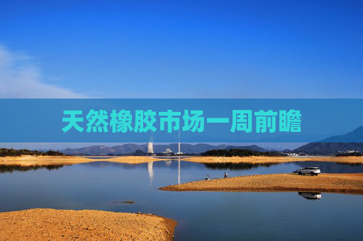 天然橡胶市场一周前瞻