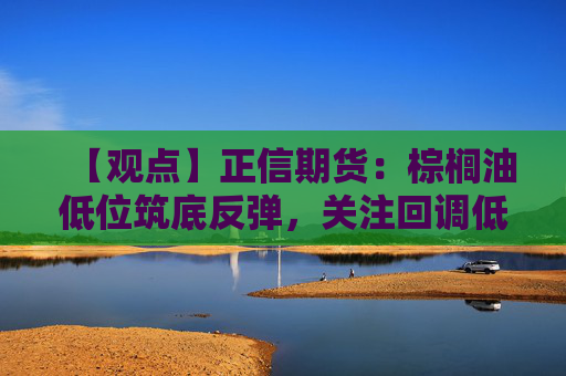 【观点】正信期货：棕榈油低位筑底反弹，关注回调低点