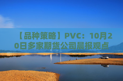 【品种策略】PVC：10月20日多家期货公司晨报观点汇总