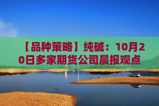【品种策略】纯碱：10月20日多家期货公司晨报观点汇总