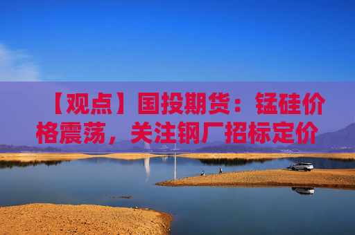【观点】国投期货:锰硅价格震荡,关注钢厂招标定价变化