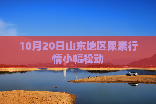 10月20日山东地区尿素行情小幅松动