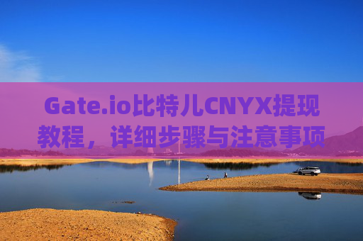Gate.io比特儿CNYX提现教程，详细步骤与注意事项 gateio比特儿cnyx怎么提现