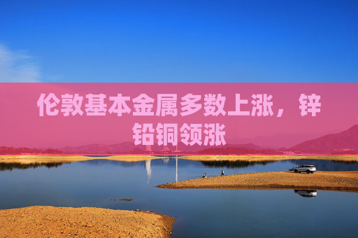 伦敦基本金属多数上涨，锌铅铜领涨