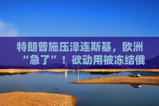 特朗普施压泽连斯基,欧洲“急了”!欲动用被冻结俄资产紧急驰援