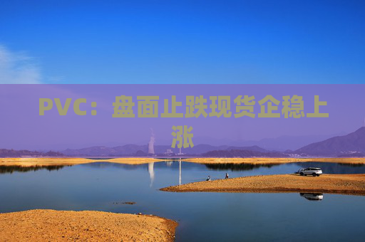PVC:盘面止跌现货企稳上涨