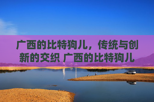 广西的比特狗儿，传统与创新的交织 广西的比特狗儿