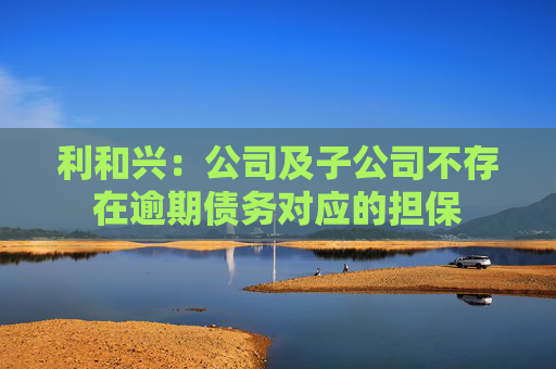 利和兴：公司及子公司不存在逾期债务对应的担保