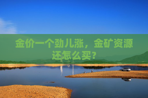 金价一个劲儿涨，金矿资源还怎么买？