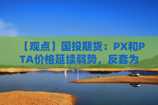 【观点】国投期货:PX和PTA价格延续弱势,反套为主