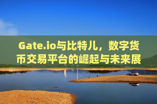 Gate.io与比特儿，数字货币交易平台的崛起与未来展望 货币gateio比特儿