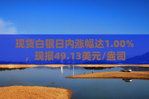 现货白银日内涨幅达1.00%，现报49.13美元/盎司