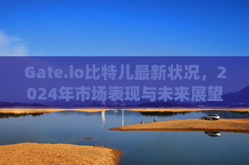Gate.io比特儿最新状况，2024年市场表现与未来展望 gateio比特儿最新状况