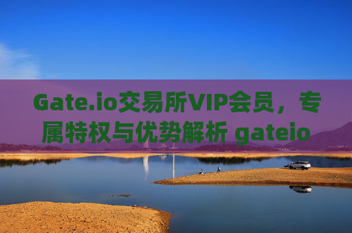 Gate.io交易所VIP会员，专属特权与优势解析 gateio交易所vip
