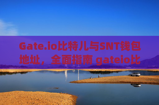 Gate.io比特儿与SNT钱包地址，全面指南 gateio比特儿snt钱包地址