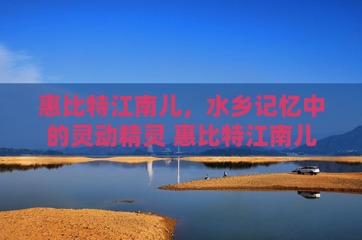 惠比特江南儿，水乡记忆中的灵动精灵 惠比特江南儿