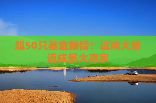 超50只基金翻倍！这两大赛道成最大赢家