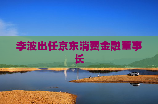 李波出任京东消费金融董事长