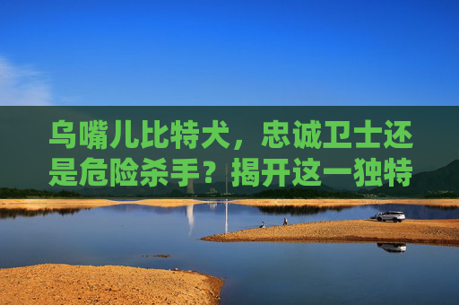 乌嘴儿比特犬，忠诚卫士还是危险杀手？揭开这一独特犬种的神秘面纱 乌嘴儿比特犬