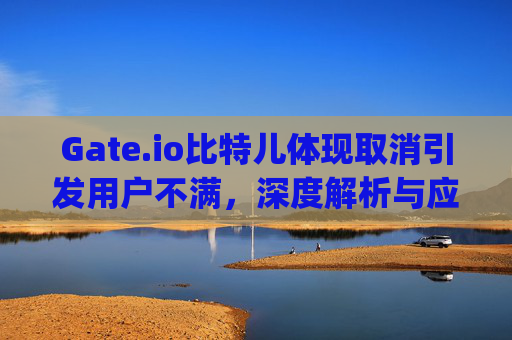Gate.io比特儿体现取消引发用户不满，深度解析与应对策略 gateio比特儿体现取消比了
