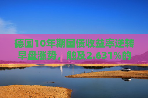 德国10年期国债收益率逆转早盘涨势，触及2.631%的十周新低，日内下跌0.5个基点