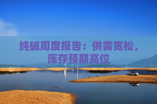 纯碱周度报告：供需宽松，库存预期高位