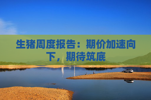 生猪周度报告：期价加速向下，期待筑底