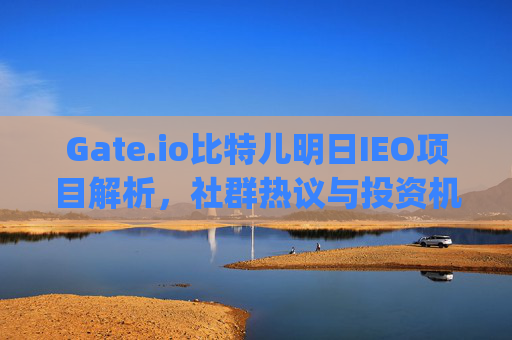 Gate.io比特儿明日IEO项目解析，社群热议与投资机会全透视 gateio比特儿明天的ieo社群