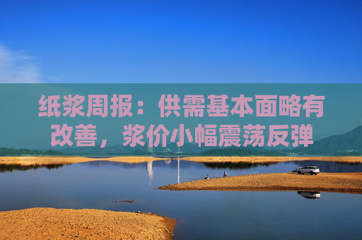 纸浆周报：供需基本面略有改善，浆价小幅震荡反弹