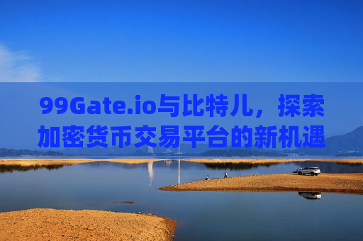 99Gate.io与比特儿，探索加密货币交易平台的新机遇 99gateio比特儿