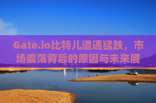 Gate.io比特儿遭遇猛跌，市场震荡背后的原因与未来展望 gateio比特儿猛跌