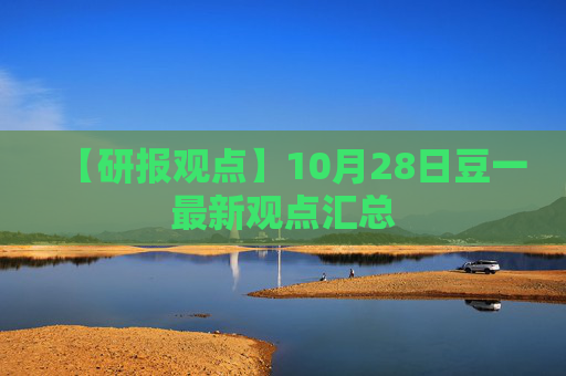 【研报观点】10月28日豆一最新观点汇总