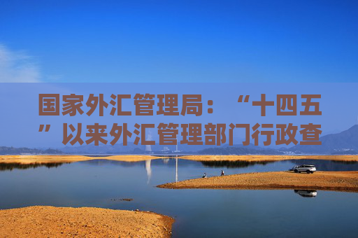 国家外汇管理局：“十四五”以来外汇管理部门行政查处外汇违规案件6100件