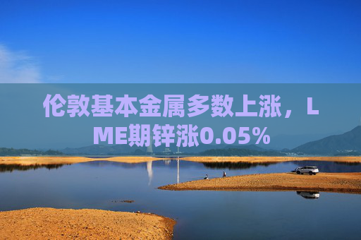 伦敦基本金属多数上涨,LME期锌涨0.05%