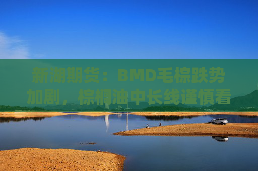 新湖期货:BMD毛棕跌势加剧,棕榈油中长线谨慎看涨逻辑或需调整