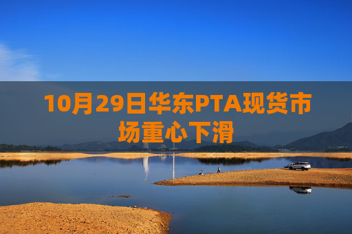 10月29日华东PTA现货市场重心下滑
