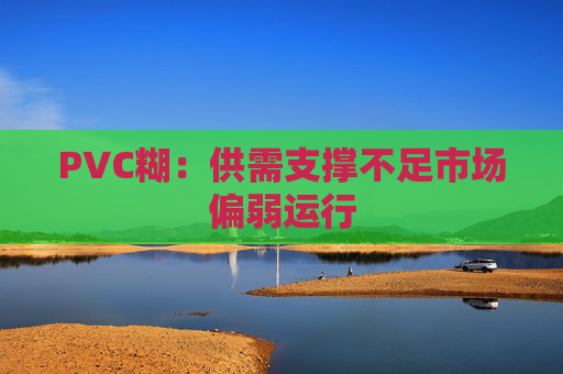 PVC糊：供需支撑不足市场偏弱运行