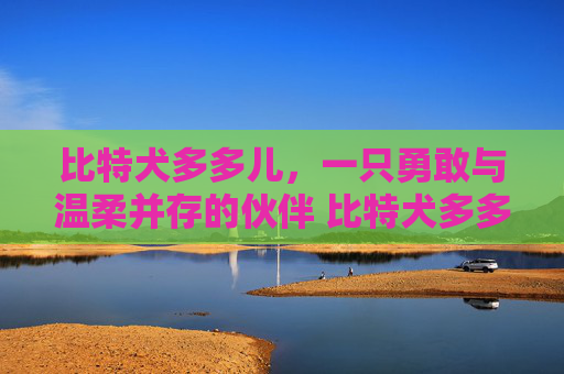 比特犬多多儿，一只勇敢与温柔并存的伙伴 比特犬多多儿