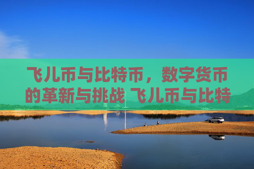 飞儿币与比特币，数字货币的革新与挑战 飞儿币与比特币