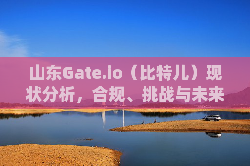 山东Gate.io（比特儿）现状分析，合规、挑战与未来展望 山东gateio比特儿现状