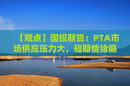 【观点】国投期货:PTA市场供应压力大,短期情绪偏多