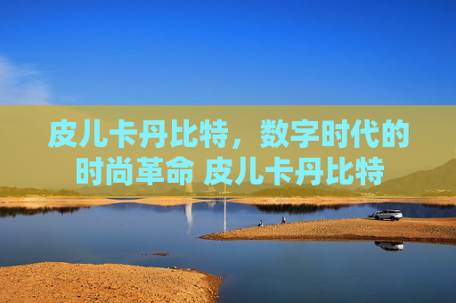 皮儿卡丹比特，数字时代的时尚革命 皮儿卡丹比特