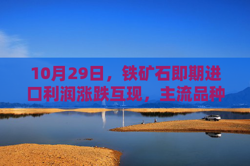 10月29日，铁矿石即期进口利润涨跌互现，主流品种中罗伊山粉进口利润最高，为17.1，较上一工作日上涨1.6；PB粉进口利润最少，为-19（-0.6）；纽曼粉进口利润为1.3（-1.8）。（单位：元/