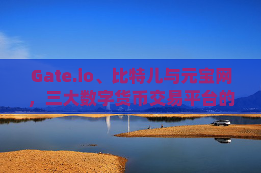 Gate.io、比特儿与元宝网，三大数字货币交易平台的比较分析 gateio比特儿 元宝网