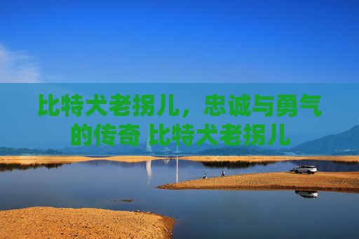 比特犬老拐儿，忠诚与勇气的传奇 比特犬老拐儿