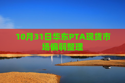 10月31日华东PTA现货市场偏弱整理