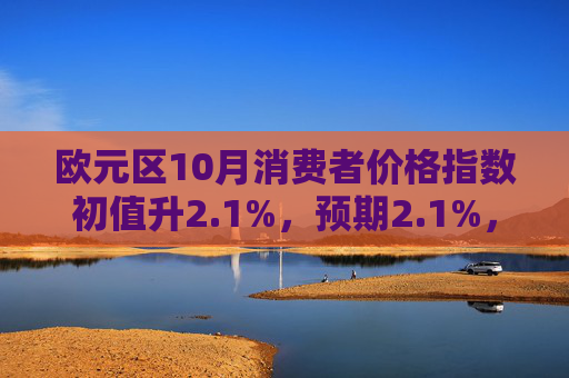 欧元区10月消费者价格指数初值升2.1%，预期2.1%，前值2.20%