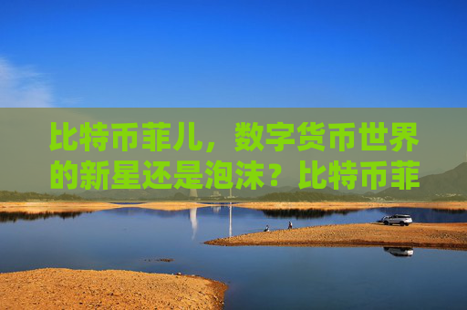 比特币菲儿，数字货币世界的新星还是泡沫？比特币菲儿