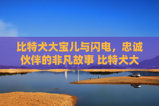 比特犬大宝儿与闪电，忠诚伙伴的非凡故事 比特犬大宝儿闪电
